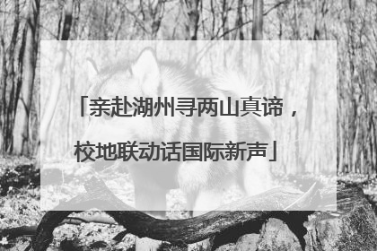 亲赴湖州寻两山真谛，校地联动话国际新声