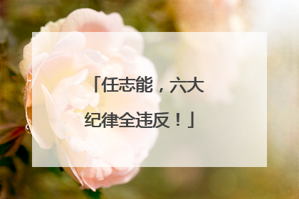 任志能，六大纪律全违反！
