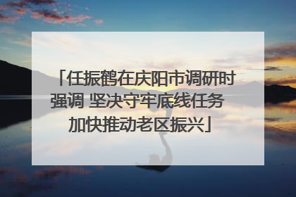 任振鹤在庆阳市调研时强调 坚决守牢底线任务 加快推动老区振兴