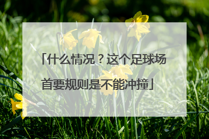 什么情况？这个足球场首要规则是不能冲撞