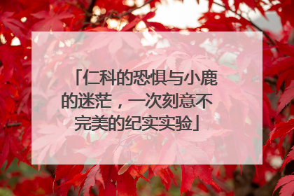 仁科的恐惧与小鹿的迷茫，一次刻意不完美的纪实实验