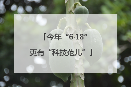 今年“6·18”更有“科技范儿”