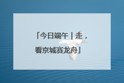 今日端午｜走，看京城赛龙舟