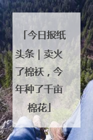 今日报纸头条｜卖火了棉袄，今年种了千亩棉花