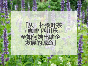 从一杯桑叶茶+咖啡 四川乐至如何端出助企发展的诚意