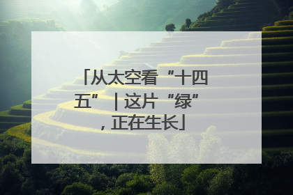从太空看“十四五”｜这片“绿”，正在生长