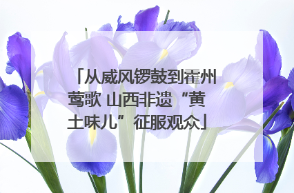 从威风锣鼓到霍州莺歌 山西非遗“黄土味儿”征服观众