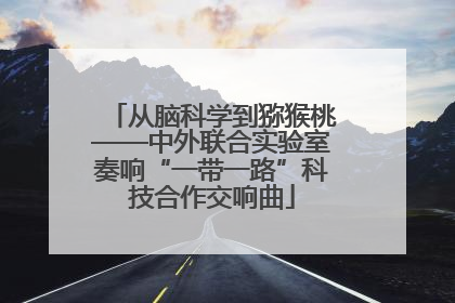 从脑科学到猕猴桃——中外联合实验室奏响“一带一路”科技合作交响曲