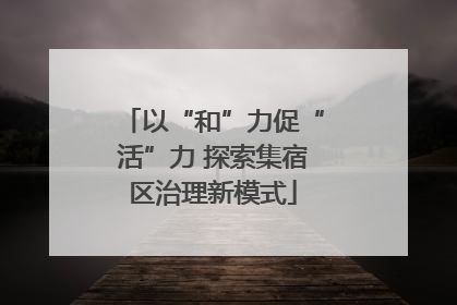 以“和”力促“活”力 探索集宿区治理新模式