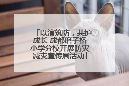 以演筑防，共护成长 成都磨子桥小学分校开展防灾减灾宣传周活动