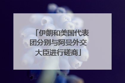 伊朗和美国代表团分别与阿曼外交大臣进行磋商