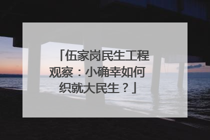 伍家岗民生工程观察：小确幸如何织就大民生？