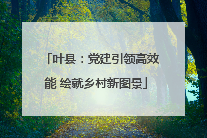 叶县：党建引领高效能 绘就乡村新图景