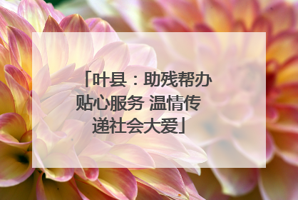 叶县：助残帮办贴心服务 温情传递社会大爱