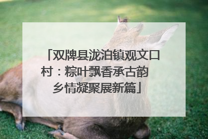 双牌县泷泊镇观文口村：粽叶飘香承古韵 乡情凝聚展新篇