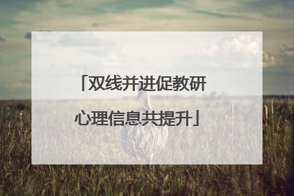 双线并进促教研 心理信息共提升