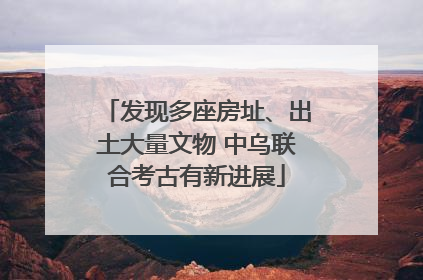 发现多座房址、出土大量文物 中乌联合考古有新进展