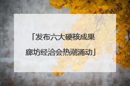 发布六大硬核成果 廊坊经洽会热潮涌动