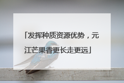 发挥种质资源优势，元江芒果香更长走更远