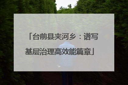 台前县夹河乡：谱写基层治理高效能篇章