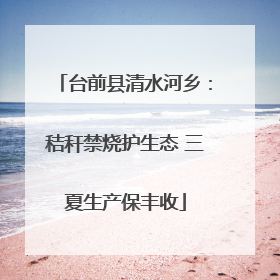台前县清水河乡：秸秆禁烧护生态 三夏生产保丰收
