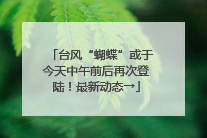 台风“蝴蝶”或于今天中午前后再次登陆！最新动态→