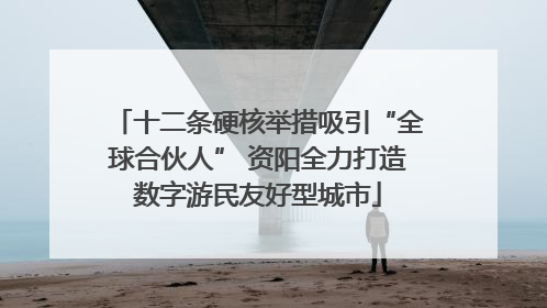 十二条硬核举措吸引“全球合伙人” 资阳全力打造数字游民友好型城市
