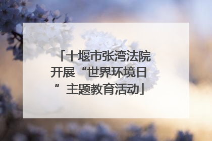 十堰市张湾法院开展“世界环境日”主题教育活动