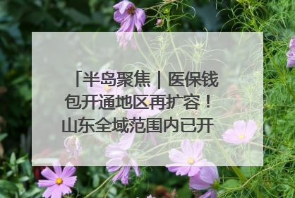 半岛聚焦｜医保钱包开通地区再扩容！山东全域范围内已开通，有何用处？如何操作？速戳→