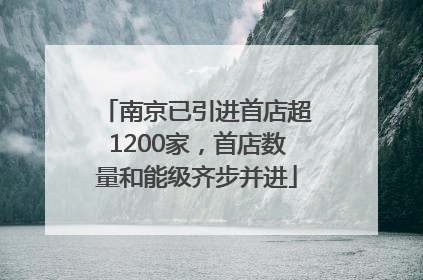 南京已引进首店超1200家，首店数量和能级齐步并进