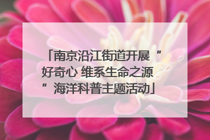 南京沿江街道开展“好奇心 维系生命之源”海洋科普主题活动