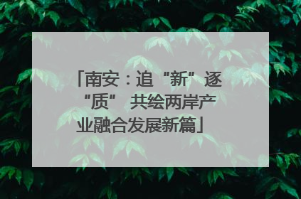南安：追“新”逐“质” 共绘两岸产业融合发展新篇