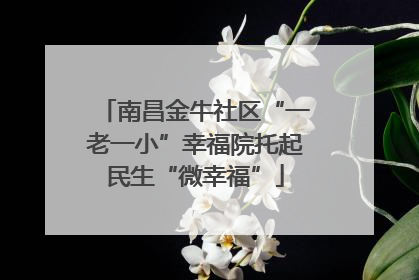 南昌金牛社区“一老一小”幸福院托起民生“微幸福”