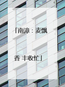南漳：麦飘香 丰收忙