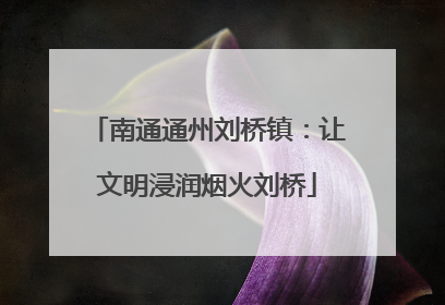 南通通州刘桥镇：让文明浸润烟火刘桥