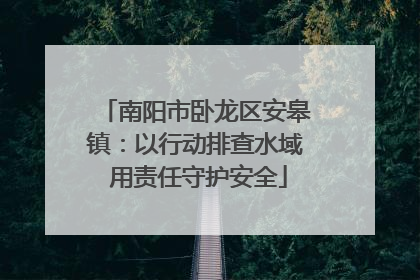 南阳市卧龙区安皋镇：以行动排查水域 用责任守护安全