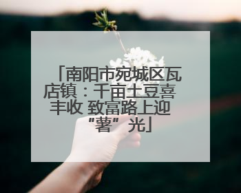 南阳市宛城区瓦店镇：千亩土豆喜丰收 致富路上迎“薯”光