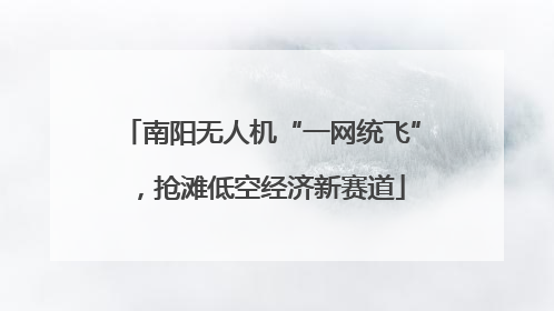 南阳无人机“一网统飞”，抢滩低空经济新赛道