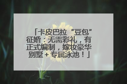 卡皮巴拉“豆包”征婚：无需彩礼，有正式编制，嫁妆豪华别墅＋专属泳池！
