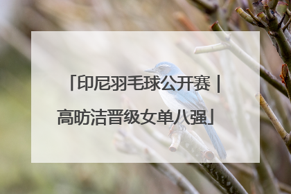 印尼羽毛球公开赛｜高昉洁晋级女单八强