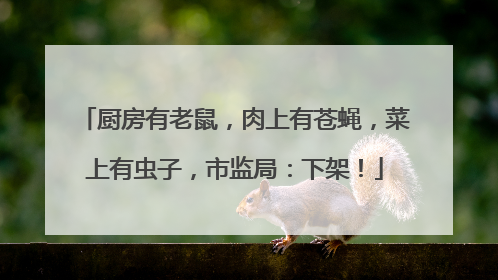 厨房有老鼠，肉上有苍蝇，菜上有虫子，市监局：下架！