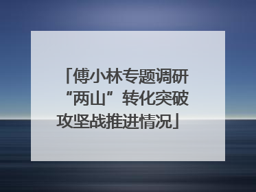傅小林专题调研“两山”转化突破攻坚战推进情况