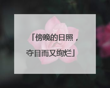 傍晚的日照，夺目而又绚烂