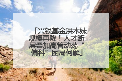 兴银基金洪木妹规模再降！人才断层叠加高管动荡“偏科”困局何解