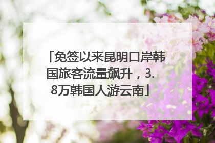 免签以来昆明口岸韩国旅客流量飙升，3.8万韩国人游云南