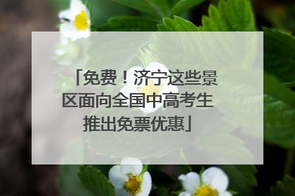 免费！济宁这些景区面向全国中高考生推出免票优惠