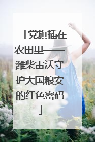 党旗插在农田里——潍柴雷沃守护大国粮安的红色密码