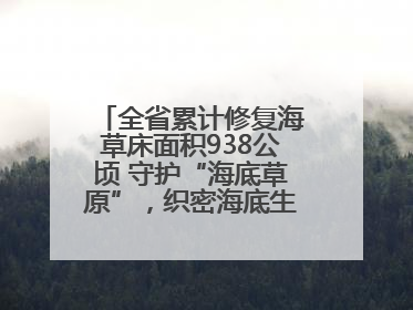 全省累计修复海草床面积938公顷 守护“海底草原”，织密海底生态“一张网”