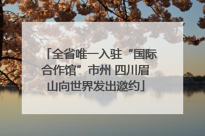 全省唯一入驻“国际合作馆”市州 四川眉山向世界发出邀约