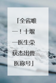 全省唯一！十堰一医生荣获杰出兽医称号